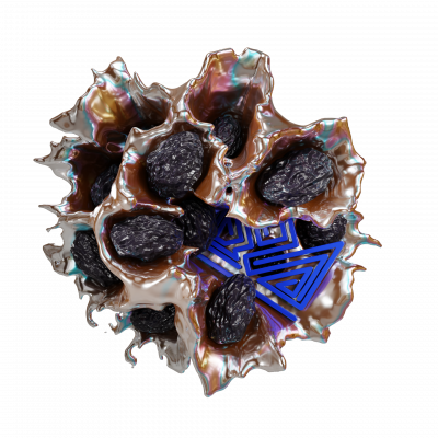 Sapphire Crown Dried Plum (Чернослив) 25гр New Sapphire Crown Dried Plum (Чернослив) 25гр New