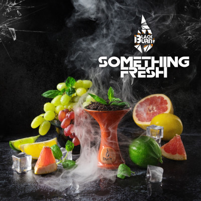 Black Burn Something Fresh (Что-то Свежее) 100гр Black Burn Something Fresh (Что-то Свежее) 100гр