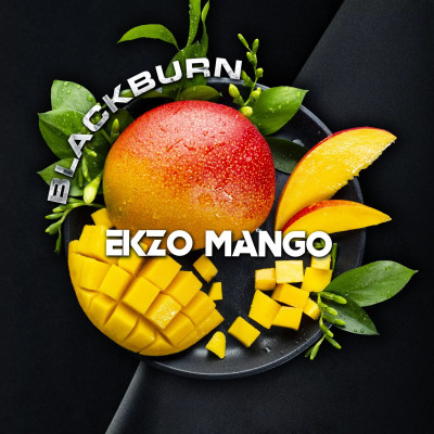 Black Burn Ekzo Mango (Сочное Манго) 100гр Black Burn Ekzo Mango (Сочное Манго) 100гр