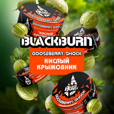 Black Burn Gooseberry Shock (Кислый Крыжовник) 100гр Black Burn Gooseberry Shock (Кислый Крыжовник) 100гр