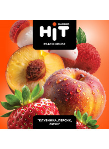 Black Burn HIT PEACH HOUSE (Клубника Персик Личи) 30гр Black Burn HIT PEACH HOUSE (Клубника Персик Личи) 30гр