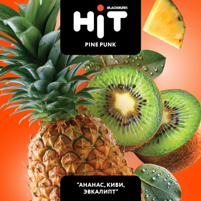 Black Burn HIT PINE PUNK (Ананас Киви Эвкалипт) 30гр Black Burn HIT PINE PUNK (Ананас Киви Эвкалипт) 30гр