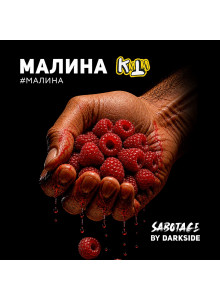 DARKSIDE SABOTAGE x KMTM Малина 30гр