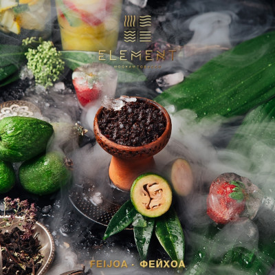 Element Земля Feijoa (Фейхоа) 40гр Element Земля Feijoa (Фейхоа) 40гр
