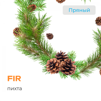 Element Земля Fir (Пихта) 25гр New