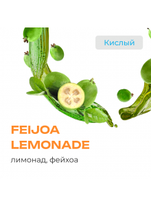 Element Вода Feijoa Lemonade (Фейхоа) 25гр New