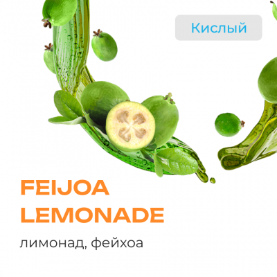 Element Земля Feijoa Lemonade (Лимонад Фейхоа) 25гр New
