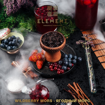 Element Вода Wildberry Mors (Ягодный Морс) 200гр Element Вода Wildberry Mors (Ягодный Морс) 200гр