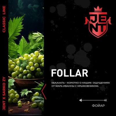 Jent Follar (Крыжовник) 25гр new