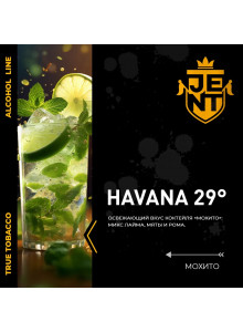 Jent Havana 29 (Мохито) 25гр new Jent Havana 29 (Мохито) 25гр new