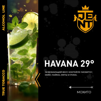Jent Havana 29 (Мохито) 25гр new Jent Havana 29 (Мохито) 25гр new