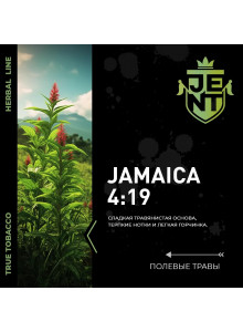 Jent Jamaica 4:19 (Полевые Травы) 25гр new Jent Jamaica 4:19 (Полевые Травы) 25гр new