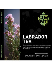 Jent Labrador Tea (Багульник) 25гр new