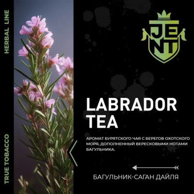 Jent Labrador Tea (Багульник) 25гр new