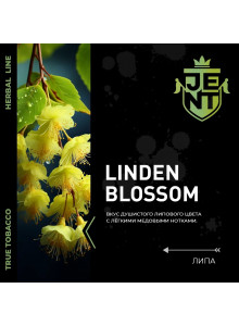 Jent Linden Blossom (Липа Мёд) 25гр new