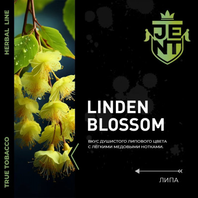 Jent Linden Blossom (Липа Мёд) 25гр new