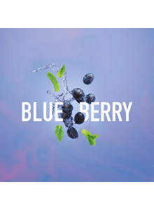 MustHave Blueberry (Черника) 125гр