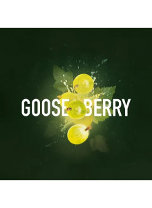 MustHave Gooseberry (Крыжовник) 125гр