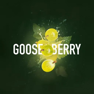 MustHave Gooseberry (Крыжовник) 25гр MustHave Gooseberry (Крыжовник) 25гр