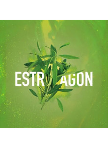 MustHave Estragon (Газировка Травы Тархун) 125гр MustHave Estragon (Газировка Травы Тархун) 125гр