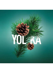 MustHave Yolka (Ёлка Хвоя) 125гр MustHave Yolka (Ёлка Хвоя) 125гр